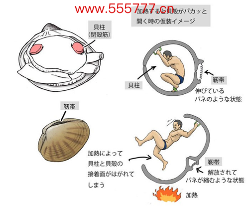 人类长出龟壳有多诡异？日本人画明白了